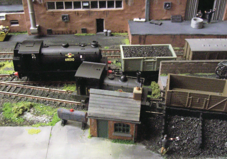 picture of turner's yard